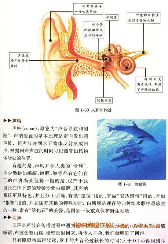 苏科版《第一章 声现象 知识梳理》电子课本3