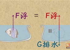 “乐乐课堂”初中物理教学视频素材：《浮力》05对阿基米德原理的理解