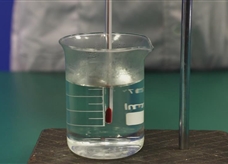 【淘知学堂】人教版八年级物理上册《3.1 用温度计测量水的温度》课程同步实验演示视频